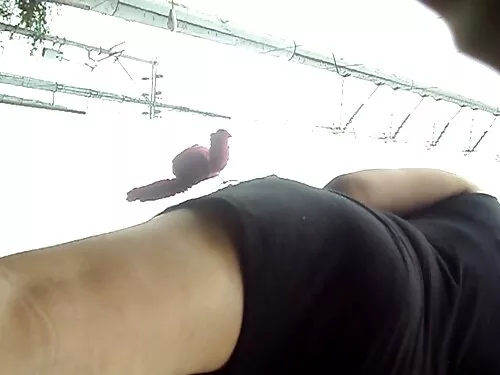அழகான ஸ்லட் தனது கழு ...